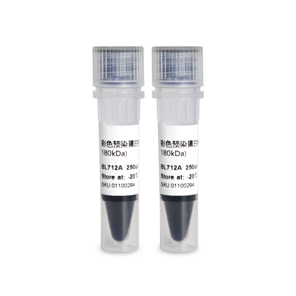 BL712B 彩色预染蛋白Marker（10-180kDa） - Biosharp/白鲨