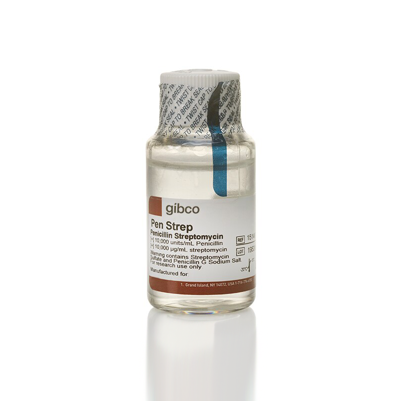 15140-148 试剂Penicillin-Streptomycin(10,000U/mL) - Gibco