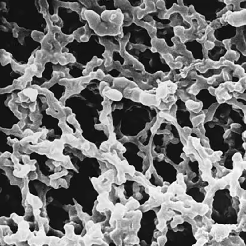 HAWP04700 MF-Millipore 滤膜 孔径0.45 µm - MerckMillipore/默克密理博