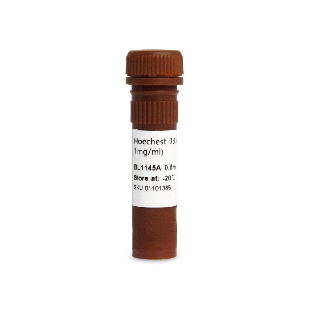 BL1145A Hoechst 33342细胞染色液(100x, 1mg/mL) - Biosharp/白鲨