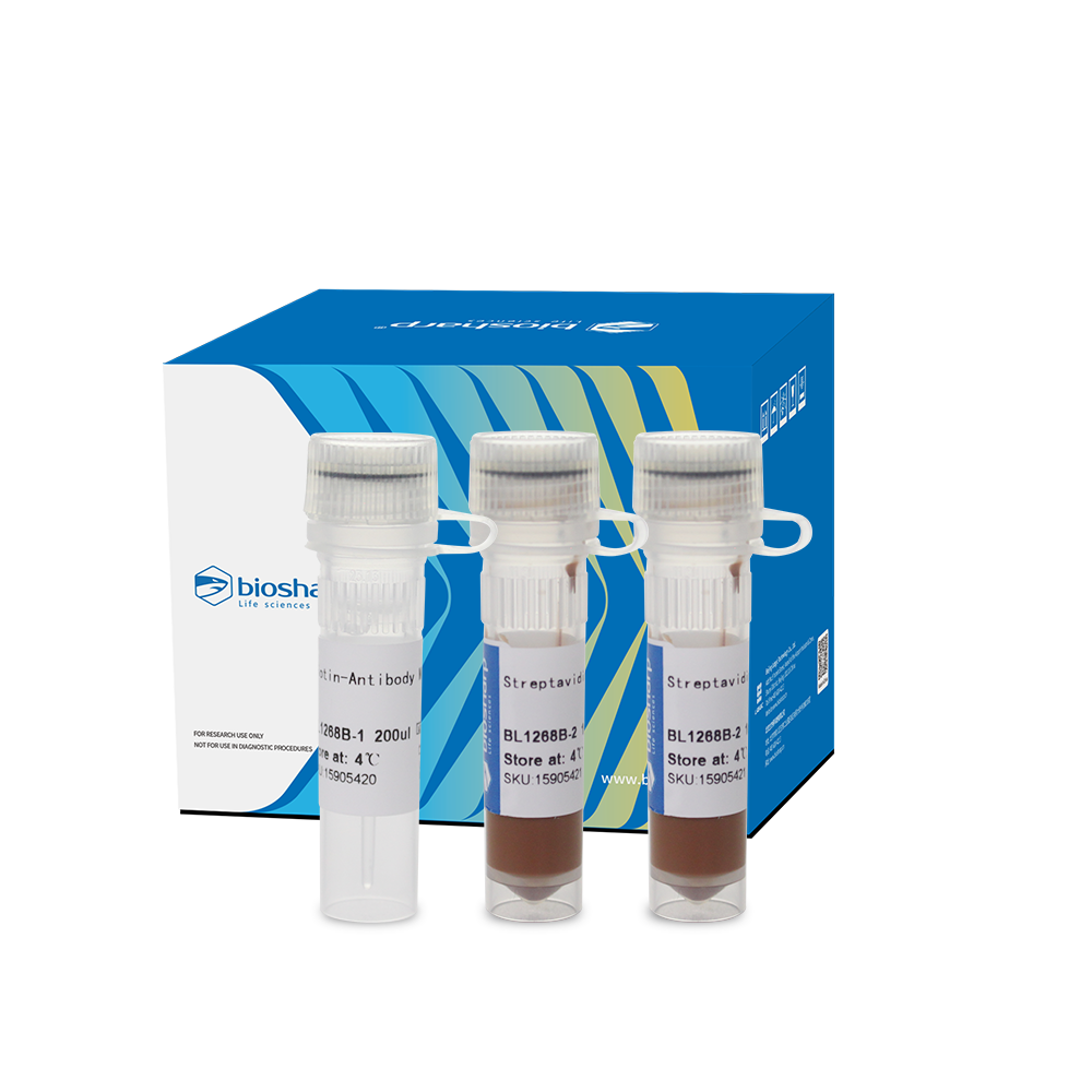 BL1268B 小鼠CD4+ T细胞磁珠法分选试剂盒（阴选） - Biosharp/白鲨