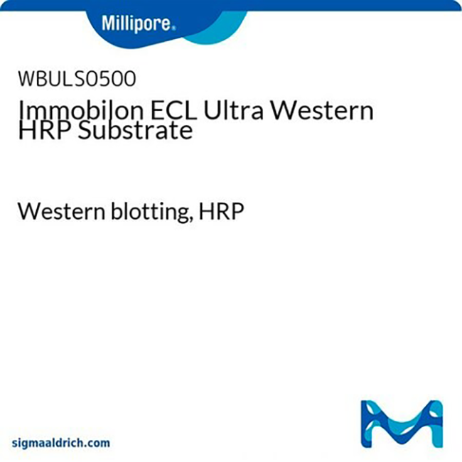 WBULS0500 Immobilon ECL Ultra Western HRP底物 - Millipore/密理博