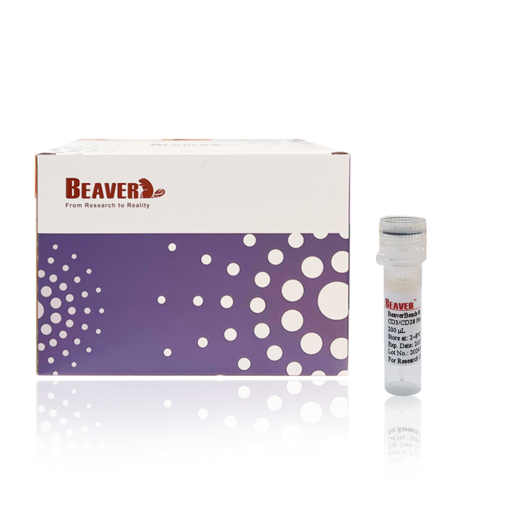 70910-1000 人CD3/CD28 T细胞激活磁珠 - BEAVER(海狸)
