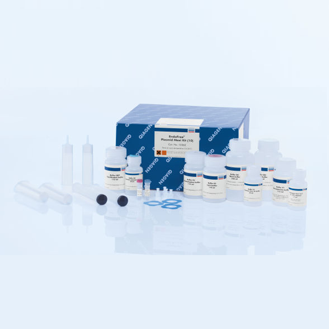 12362 去内毒素质粒大提试剂盒 - Qiagen（凯杰）