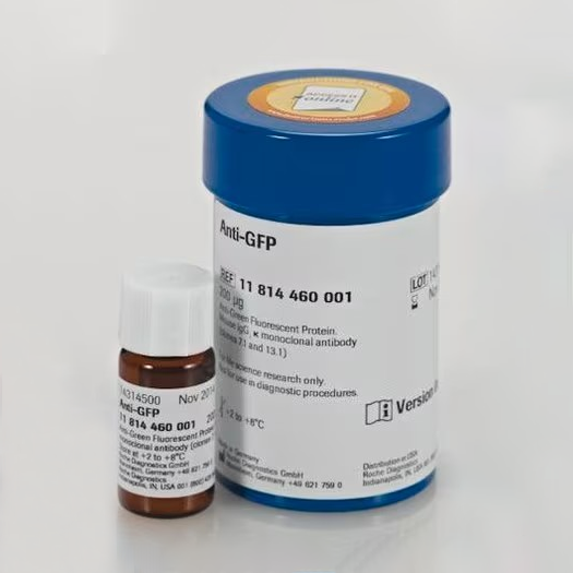 11814460001 抗-GFP - ROCHE/罗氏