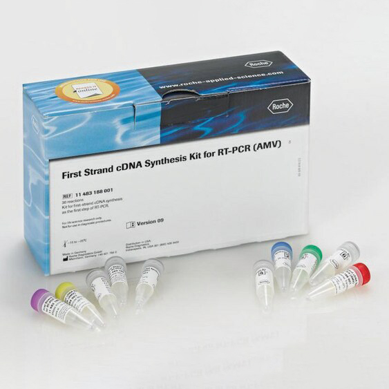 04896866001 反转录染料法荧光定量试剂盒 - ROCHE/罗氏