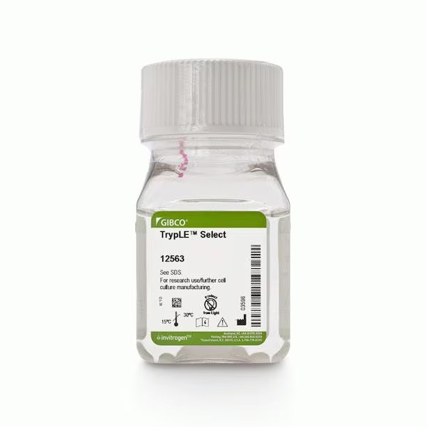 12563-011 试剂TRYPLE TM SELECT 100ML - Gibco