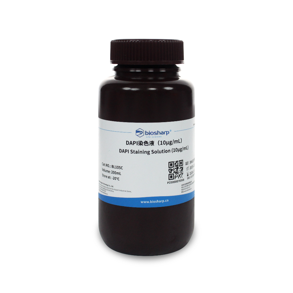 BL105C DAPI溶液（即用型） - Biosharp/白鲨