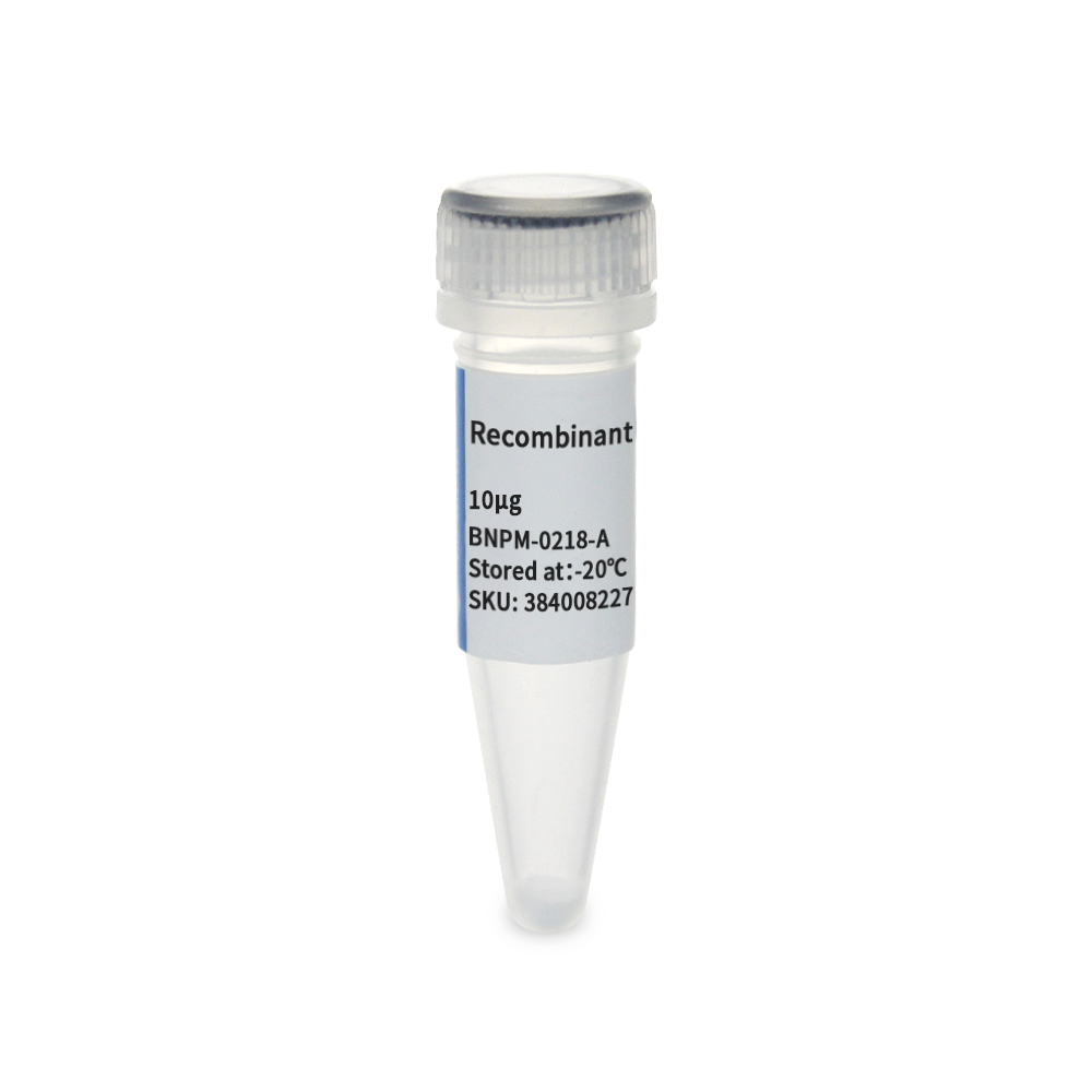 BNPM-0218-A 重组小鼠 IL-4蛋白 - Biosharp/白鲨