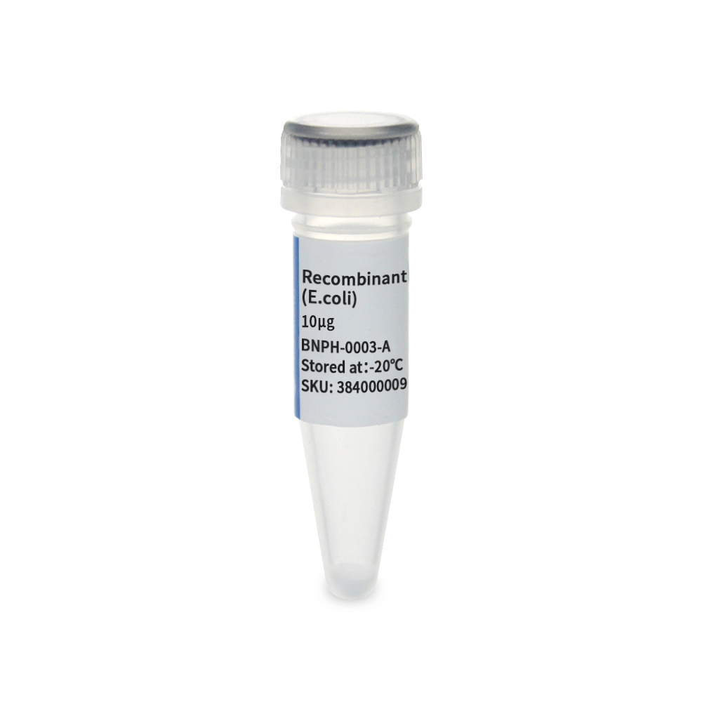 BNPH-0003-A 重组人 GM-CSF蛋白(E. coli) - Biosharp/白鲨