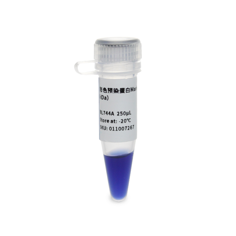 BL744A 彩色预染蛋白Marker（1.5-42kDa） - Biosharp/白鲨