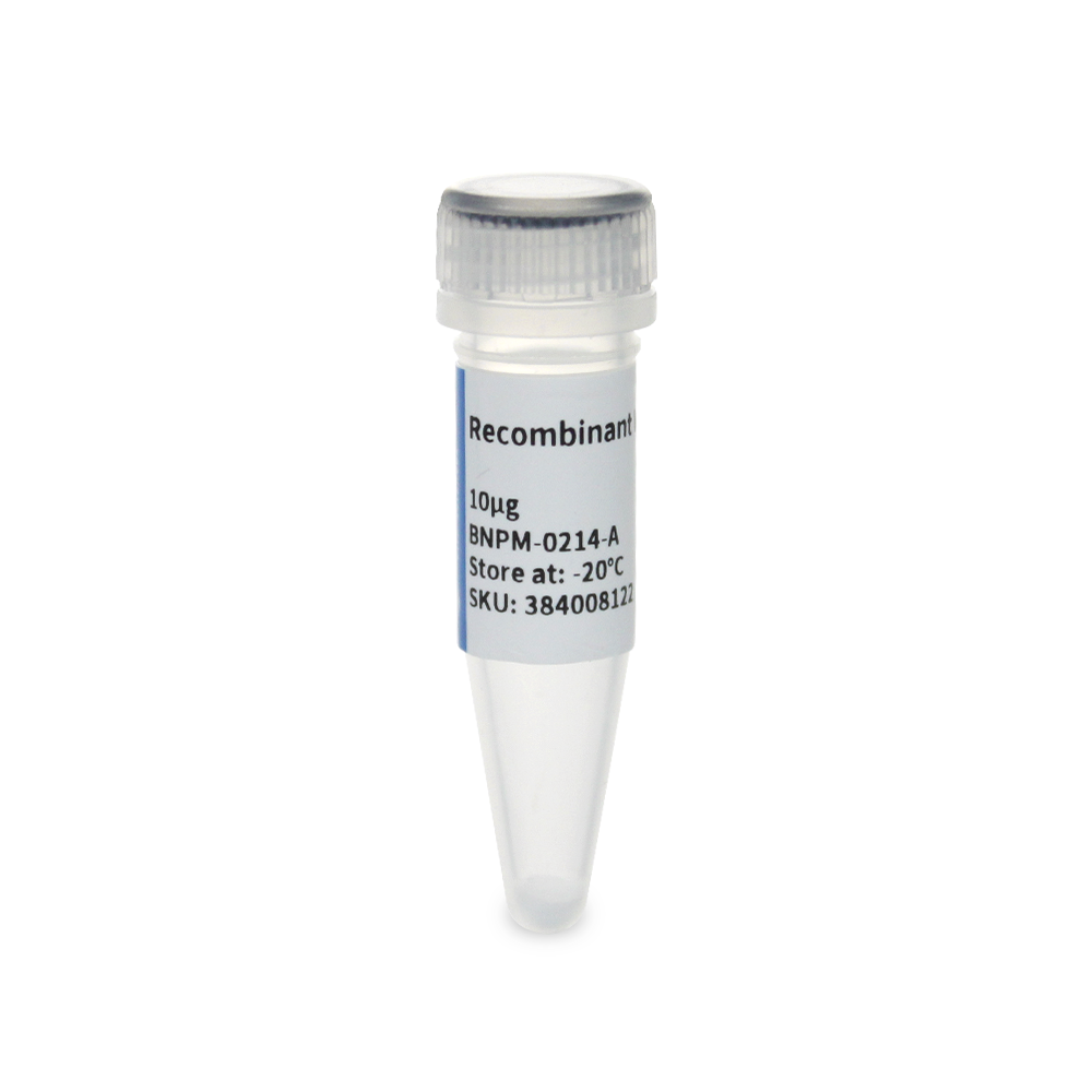 BNPM-0214-A 重组小鼠 GM-CSF蛋白 - Biosharp/白鲨