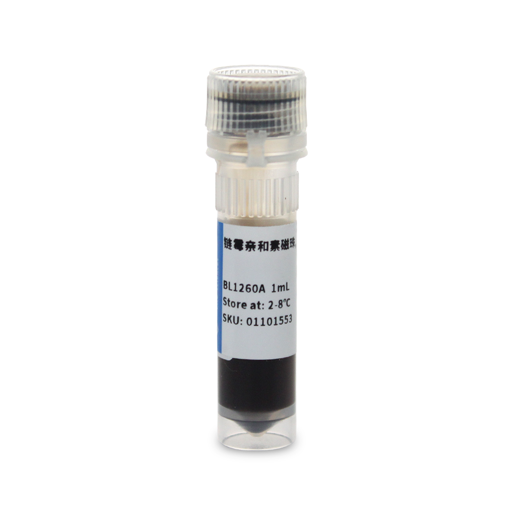 BL1260A Streptavidin Magnetic Beads,2μm (链霉亲和素磁珠, 2μm) - Biosharp/白鲨