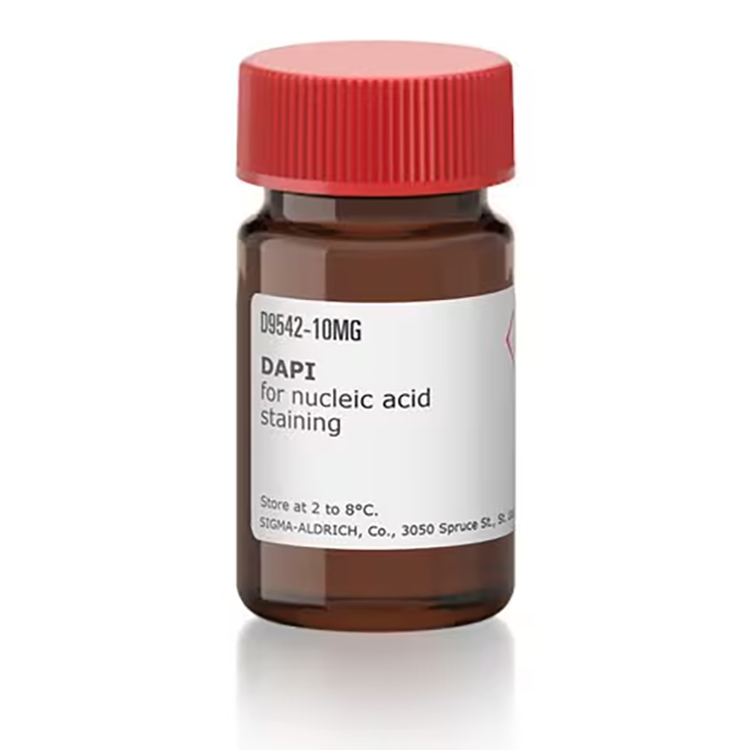 D9542-10MG 试剂DAPI - Sigma-aldrich/西格玛