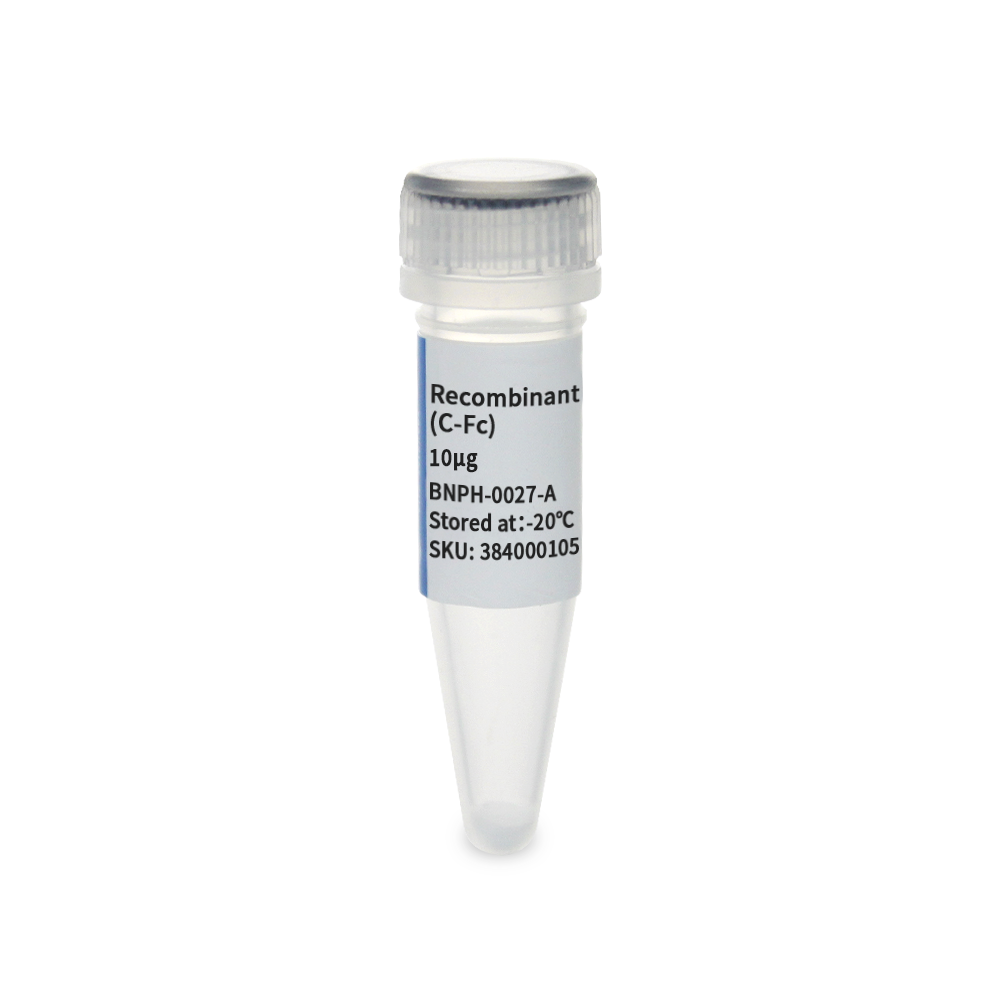 BNPH-0027-A 重组人 IL-4蛋白(C-Fc) - Biosharp/白鲨