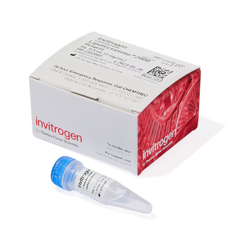 11668-030 试剂Lipofectamine2000 - Invitrogen