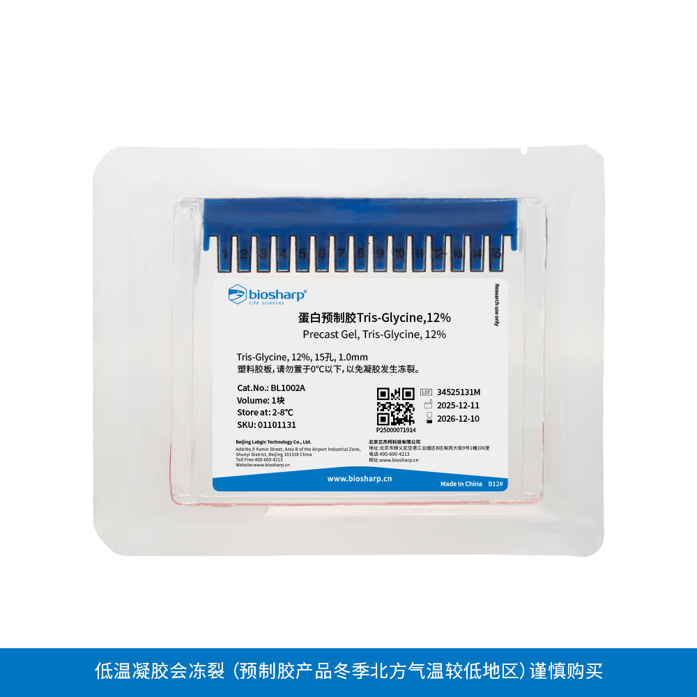 BL1002A 蛋白预制胶Tris-Gly, 12％, 15孔, 1.0 mm（塑料胶板） - Biosharp/白鲨