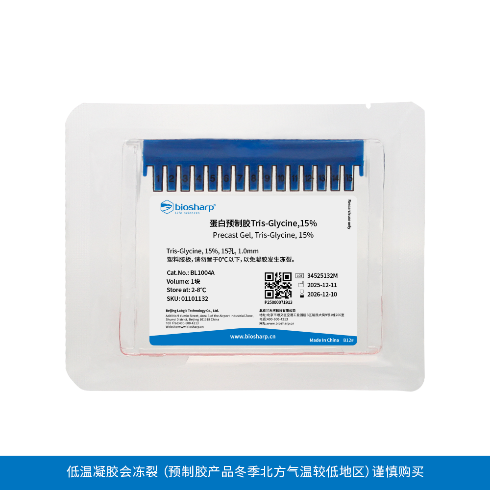 BL1004A 蛋白预制胶Tris-Gly, 15％, 15孔, 1.0 mm（塑料胶板） - Biosharp/白鲨