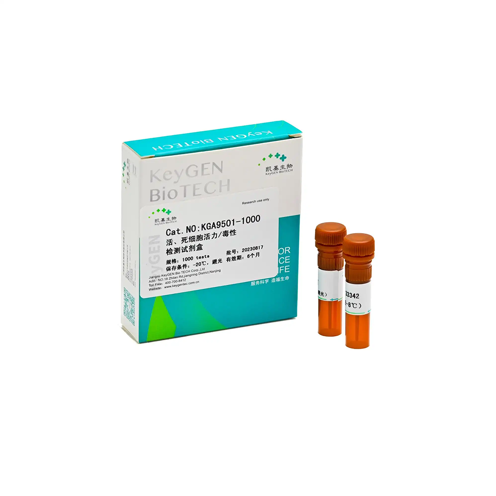 KGA9501-1000 细胞活力（活死细胞染色）检测试剂盒（Calcein AM，PI法） - KeyGEN（江苏凯基）