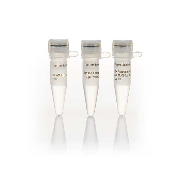 EN0521 试剂DNaseI,RNase-free(1U/µL) - Fermentas(MBI)