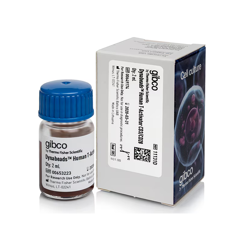 11131D 用于 T 细胞扩增和活化的 Dynabeads 人 T 活化剂 CD3/CD28 - Gibco