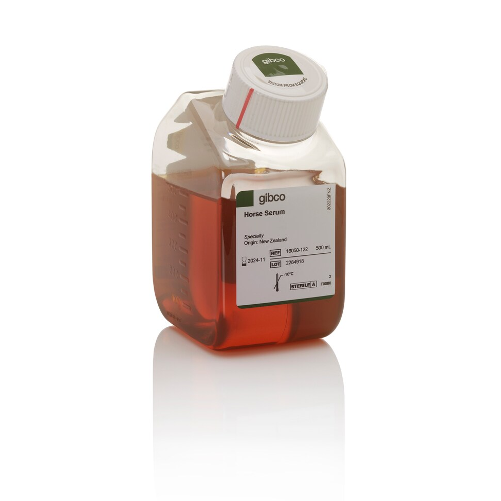 16050-122 Horse Serum, New Zealand origin 马血清，新西兰血源 - Gibco
