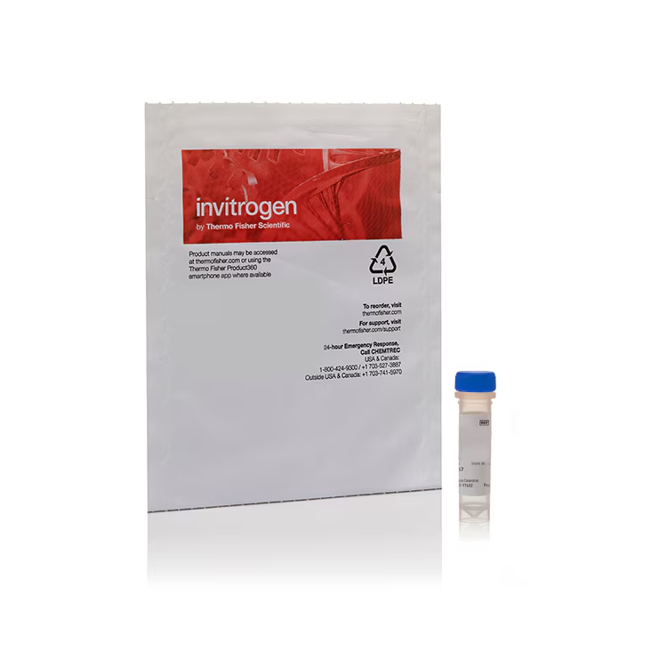 D3861 581/591 C11（脂质过氧化传感器） - Invitrogen