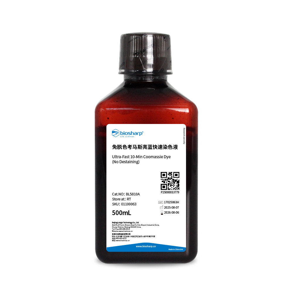BL5810A 免脱色考马斯亮蓝快速染色液 - Biosharp/白鲨
