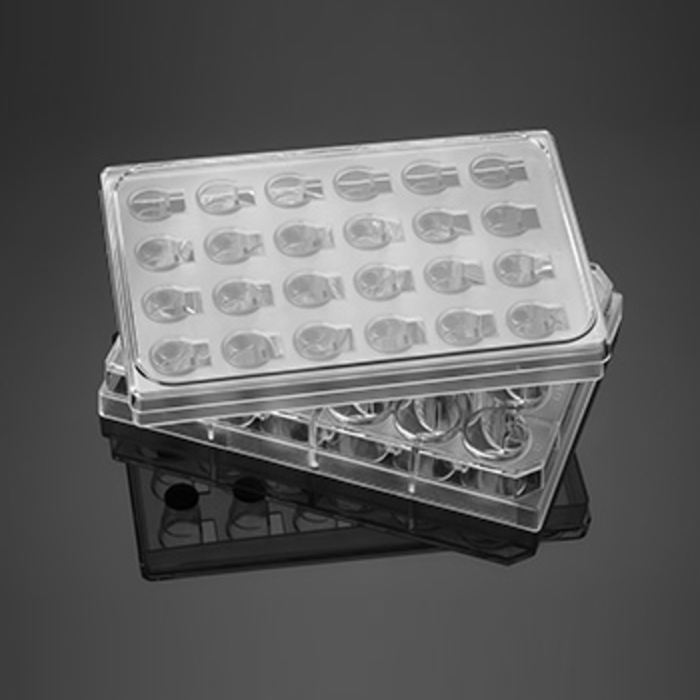 351181 细胞培养池板24 Well Insert System with 1.0μm Pore Polyester (PET) Membrane - Corning/康宁