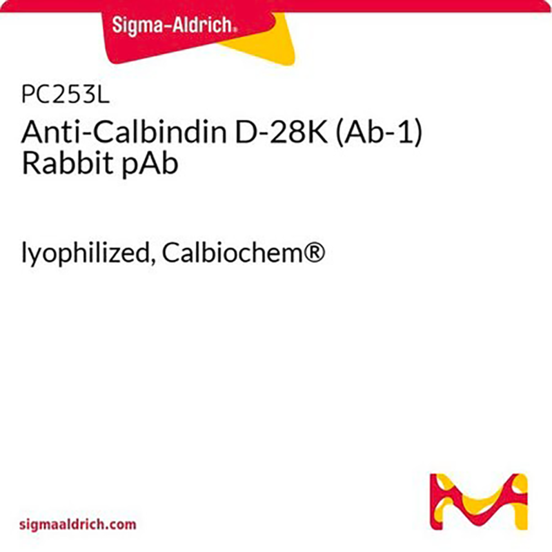PC253L 抗-钙结合蛋白D-28K (Ab-1) 兔pAb - MerckMillipore/默克密理博