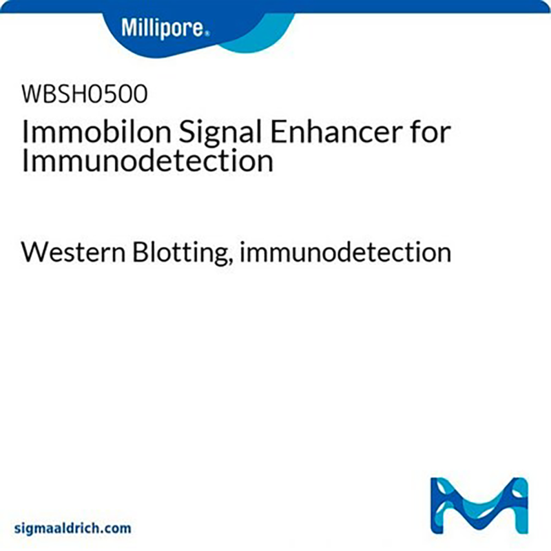WBSH0500-100ml 信号增强试剂 - MerckMillipore/默克密理博