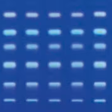 1.05747.0001 TLC 硅胶60 RP-2 F₂₅₄（硅烷化）25片玻璃板 20x20cm - MerckMillipore/默克密理博