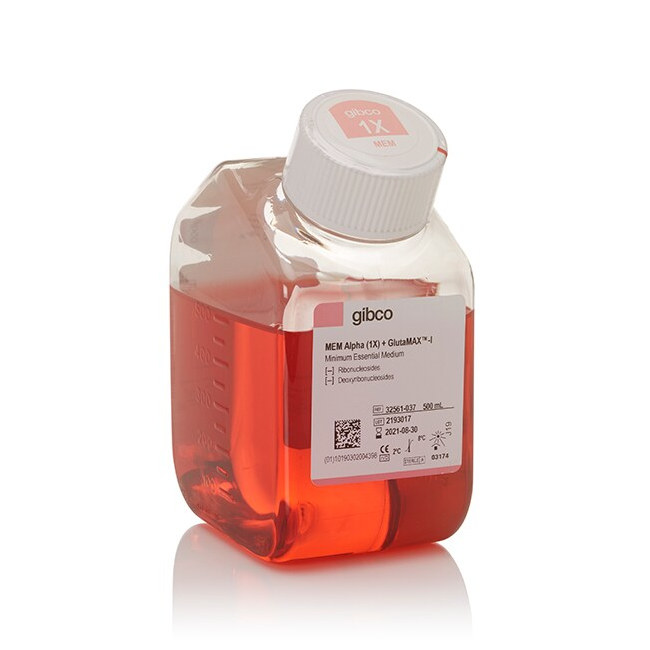 32561-037 MEMα，GlutaMAX添加剂，不含核苷 - Gibco