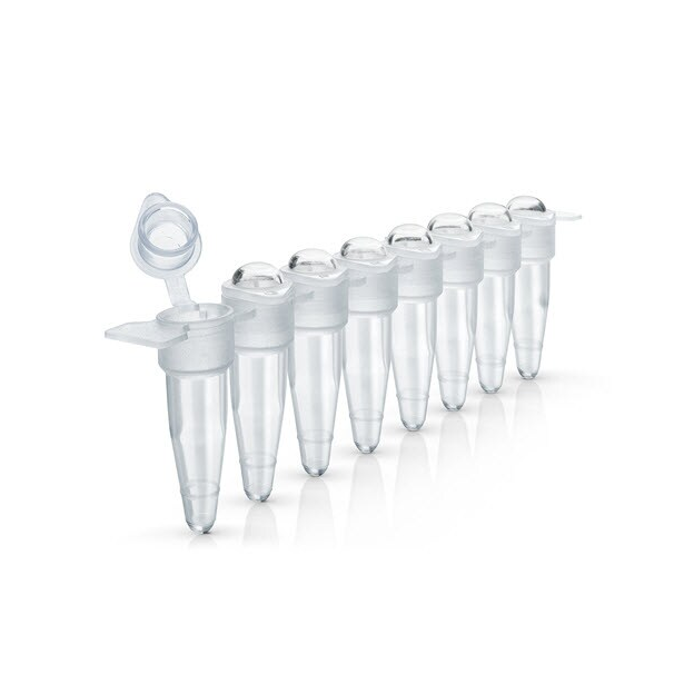 A30589 试剂8 TUBE STRIP W/ DOMED CAPS 125 STRIPS - Gibco