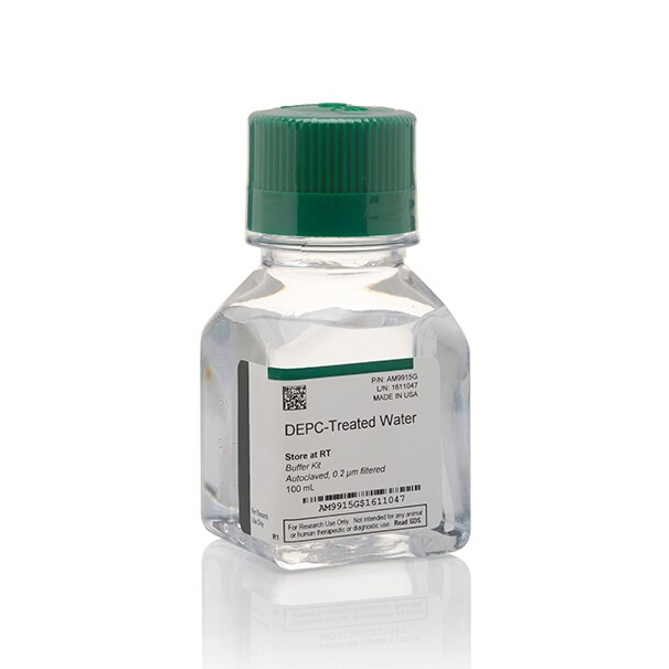 AM9906 试剂DEPC-Treated Water - Gibco
