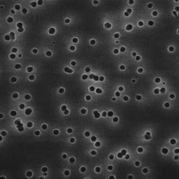 GTTP02500 Isopore滤膜 聚碳酸酯膜过滤器 孔径0.22μm - MerckMillipore/默克密理博