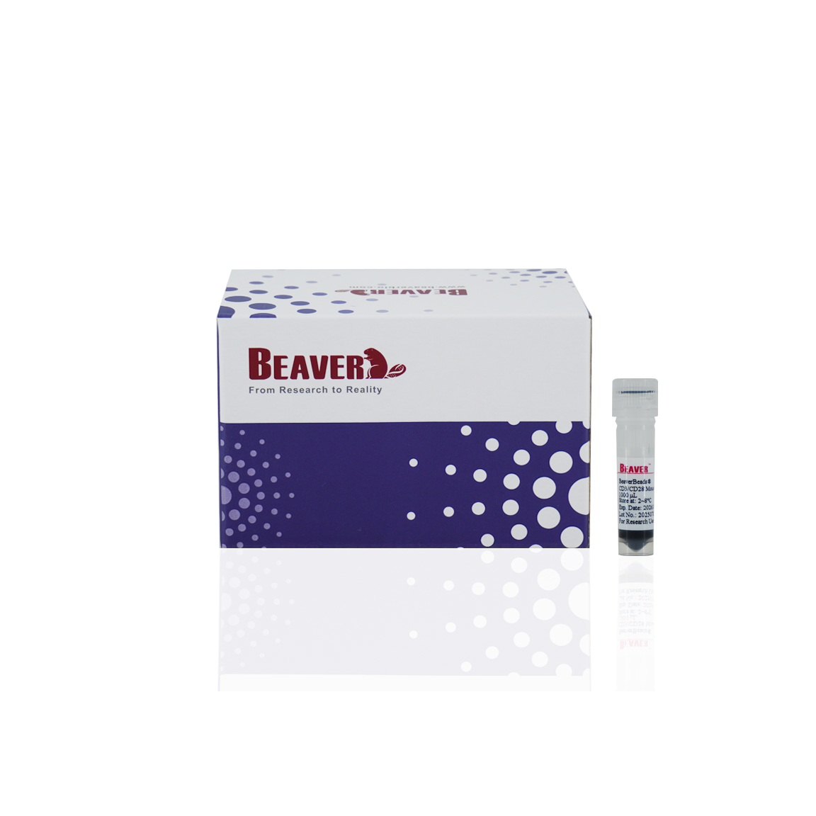 70912-1000 小鼠CD3/CD28 T细胞激活磁珠 - BEAVER(海狸)