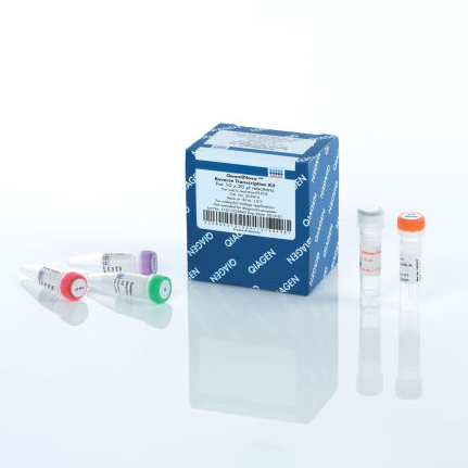 试剂盒 205411 - Qiagen（凯杰）