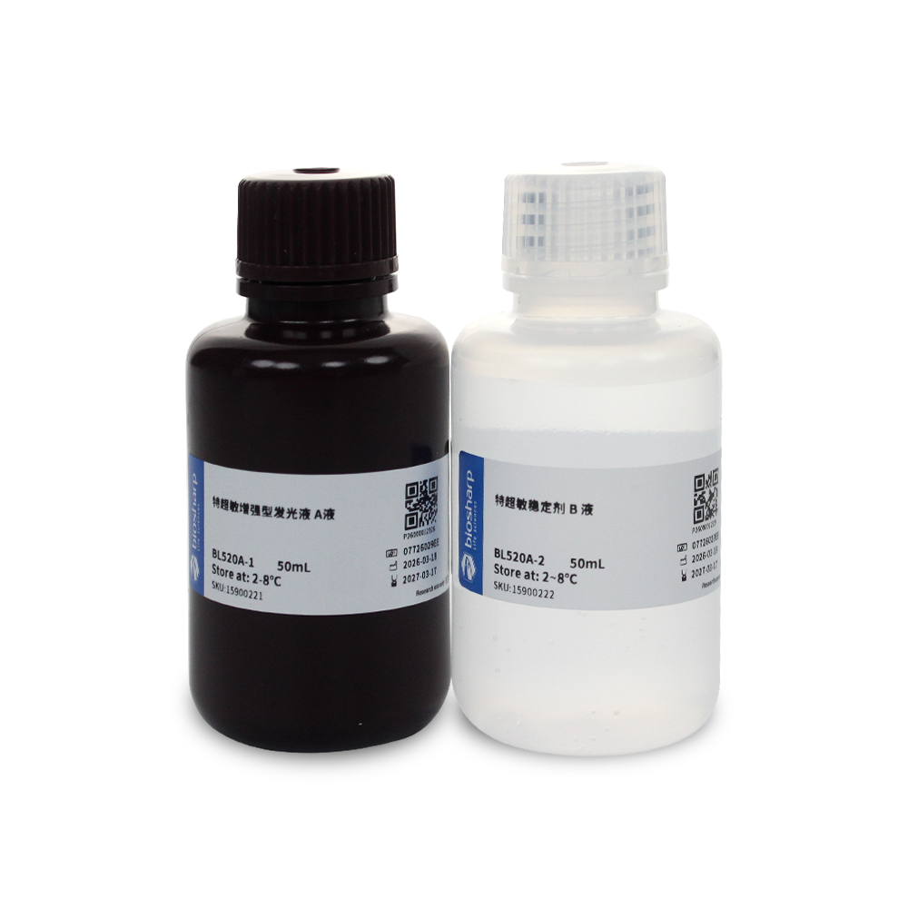 BL520A 特超敏ECL化学发光底物 - Biosharp/白鲨