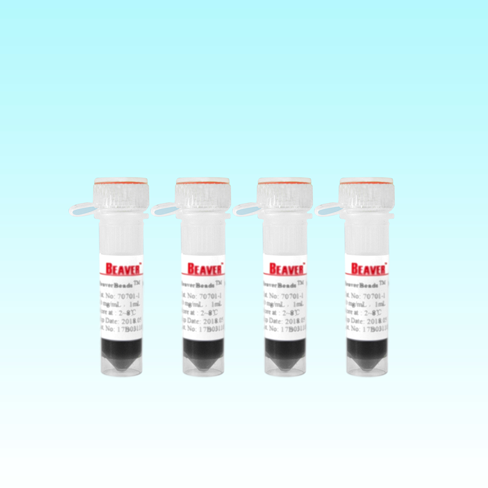 22300-Trial 链霉亲和素磁珠试用套装 - BEAVER(海狸)