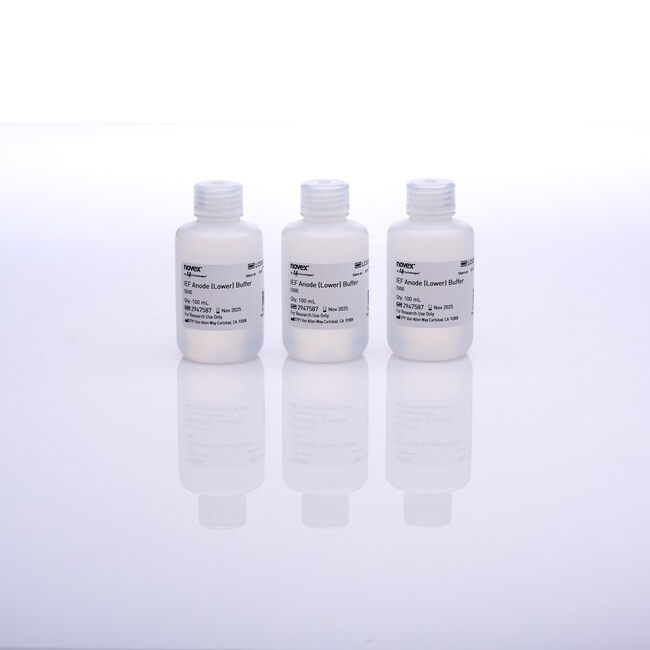 LC5300 试剂IEF ANODE BUFFER (50X) 100ML - Gibco