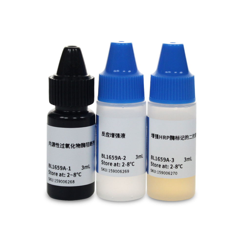 BL1659A 增强多聚物法免疫组化试剂盒(小鼠/兔)，即用型 - Biosharp/白鲨