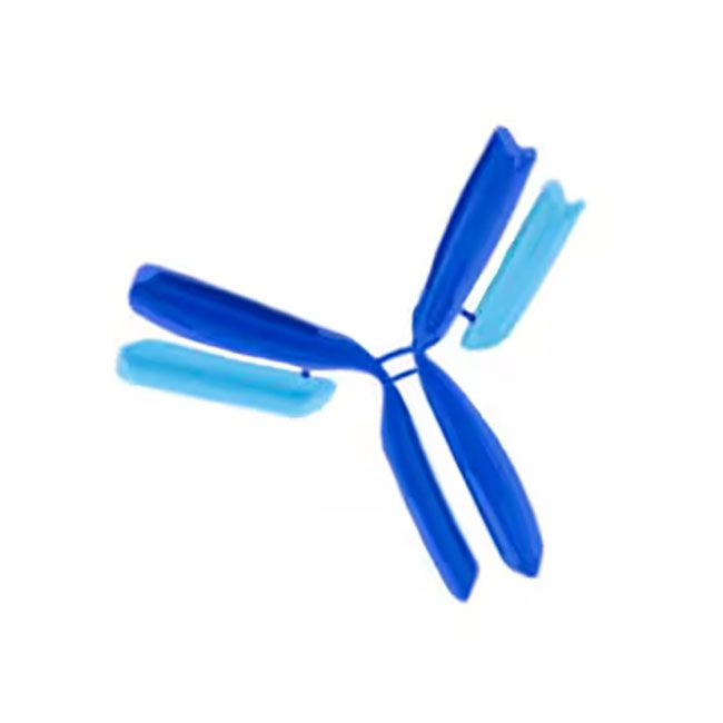 MAB8599 抗-RSV抗体 融合蛋白 所有A、B型毒株 克隆131-2A - MerckMillipore/默克密理博
