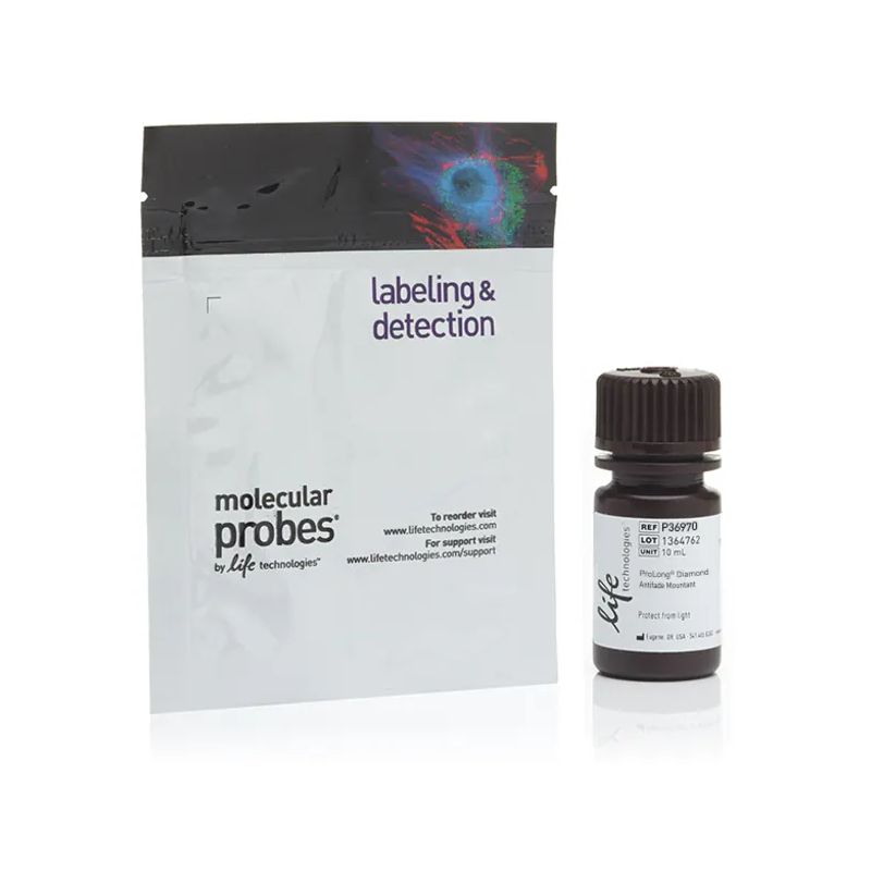 P36970 Diamond 抗淬灭封片剂 - Invitrogen
