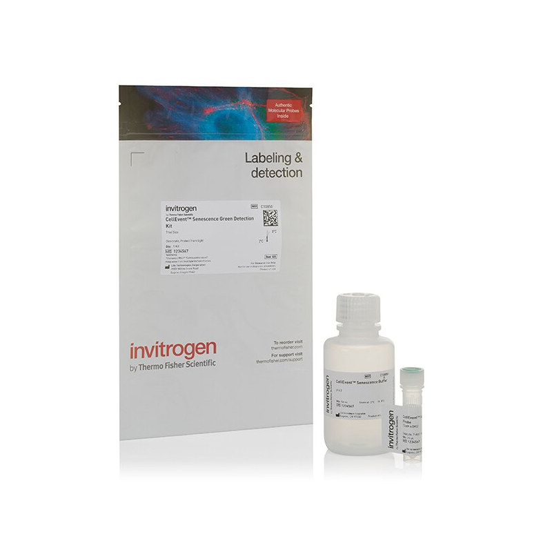 C10850 细胞衰老绿色检测试剂盒 - Invitrogen