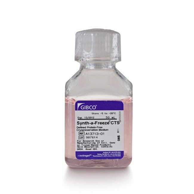 A1371301 冻存液 - Gibco