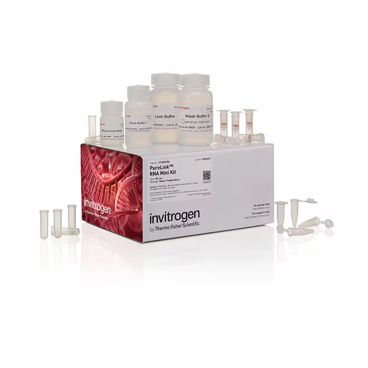 12183018A 试剂盒PureLink RNA Mini Kit - Invitrogen
