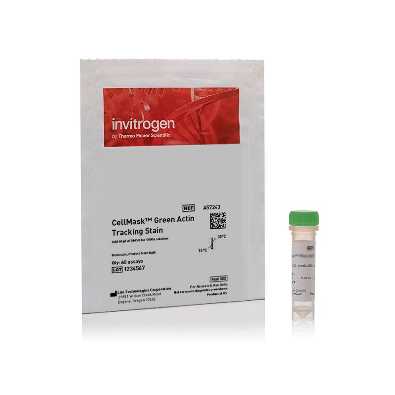 A57243 绿色肌动蛋白示踪染色剂 - Invitrogen
