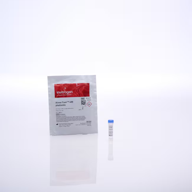 A12379 Alexa Fluor 488 鬼笔环肽 - Invitrogen