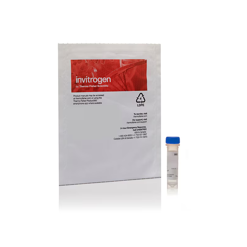 S7020 SYTOX绿色核酸染色 - Invitrogen